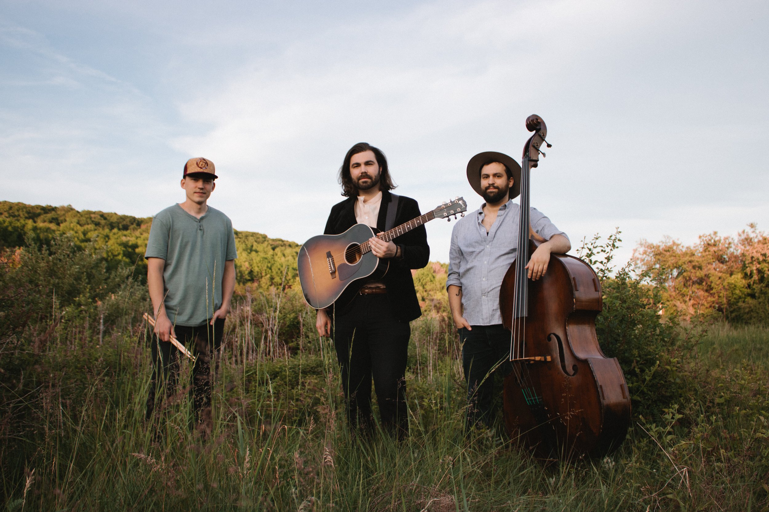 Ferdinand the Bull Picture